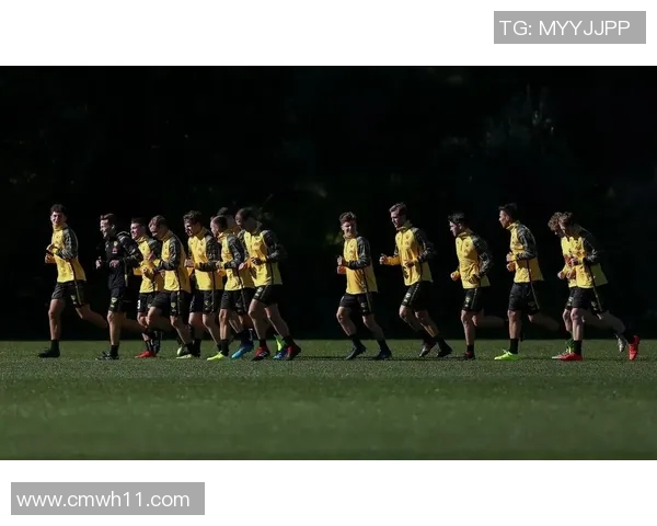 澳超积分榜最新动态分析球队排名变动及其影响因素探讨