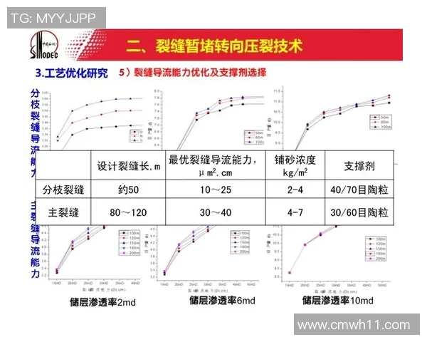 裁判执法标准解读与实践应用探讨及其对比赛公正性的影响分析 裁判执法标准解读与实践应用探讨及其对比赛公正性的影响分析